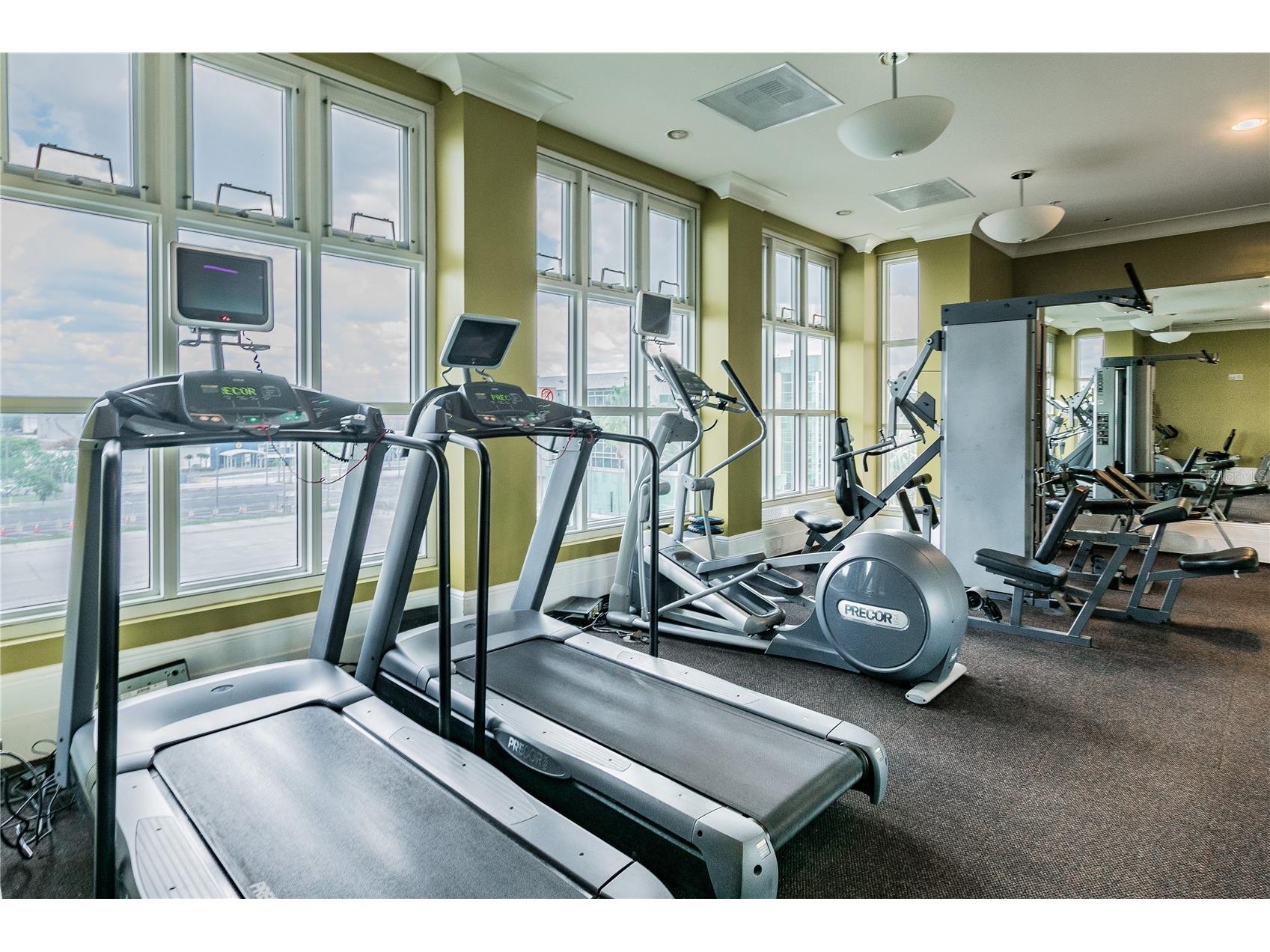 1227 E Madison Street #503 Tampa FL 33602 TB8482775 image69