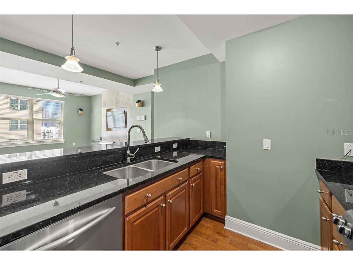 1227 E Madison Street #902 Tampa FL 33602 - YBOR CHANNEL TB8380116 image14