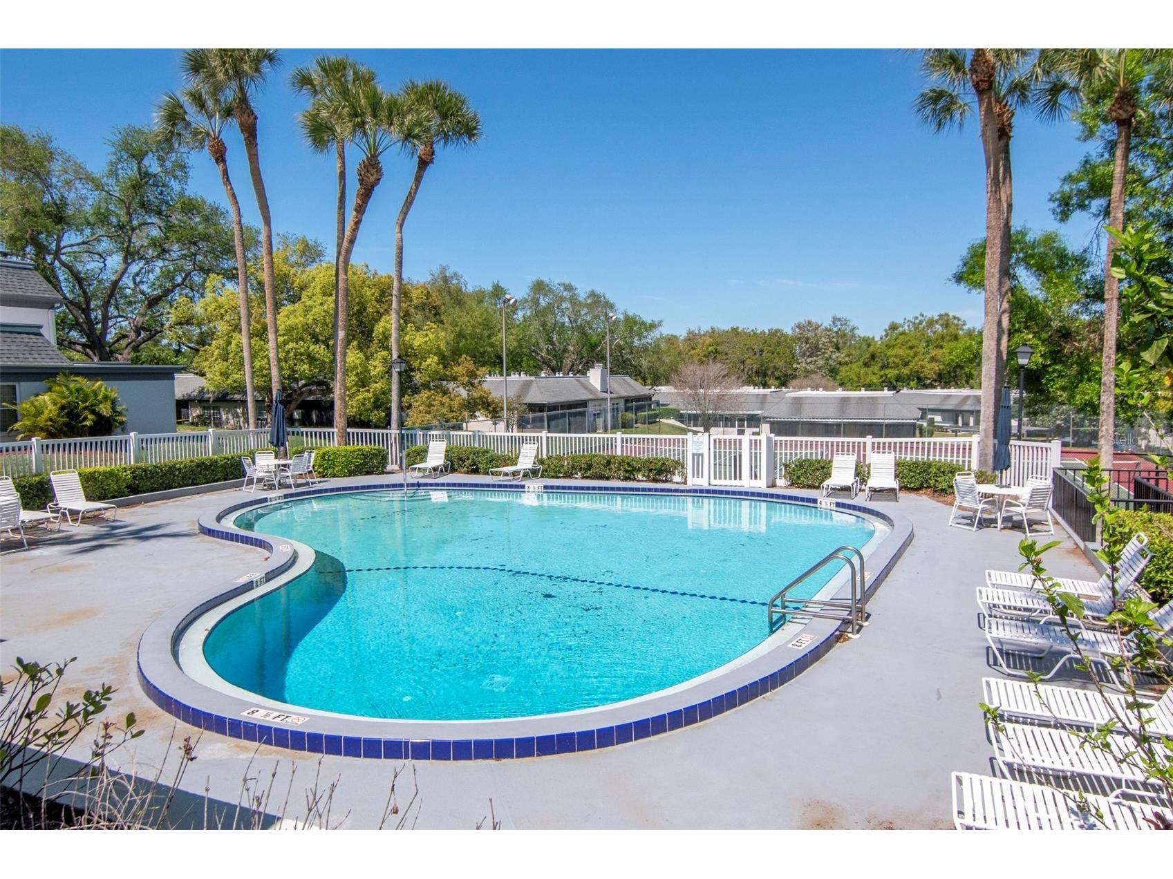 1227 N Mcmullen Booth Road #1227 Clearwater FL 33759 TB8488394 image43