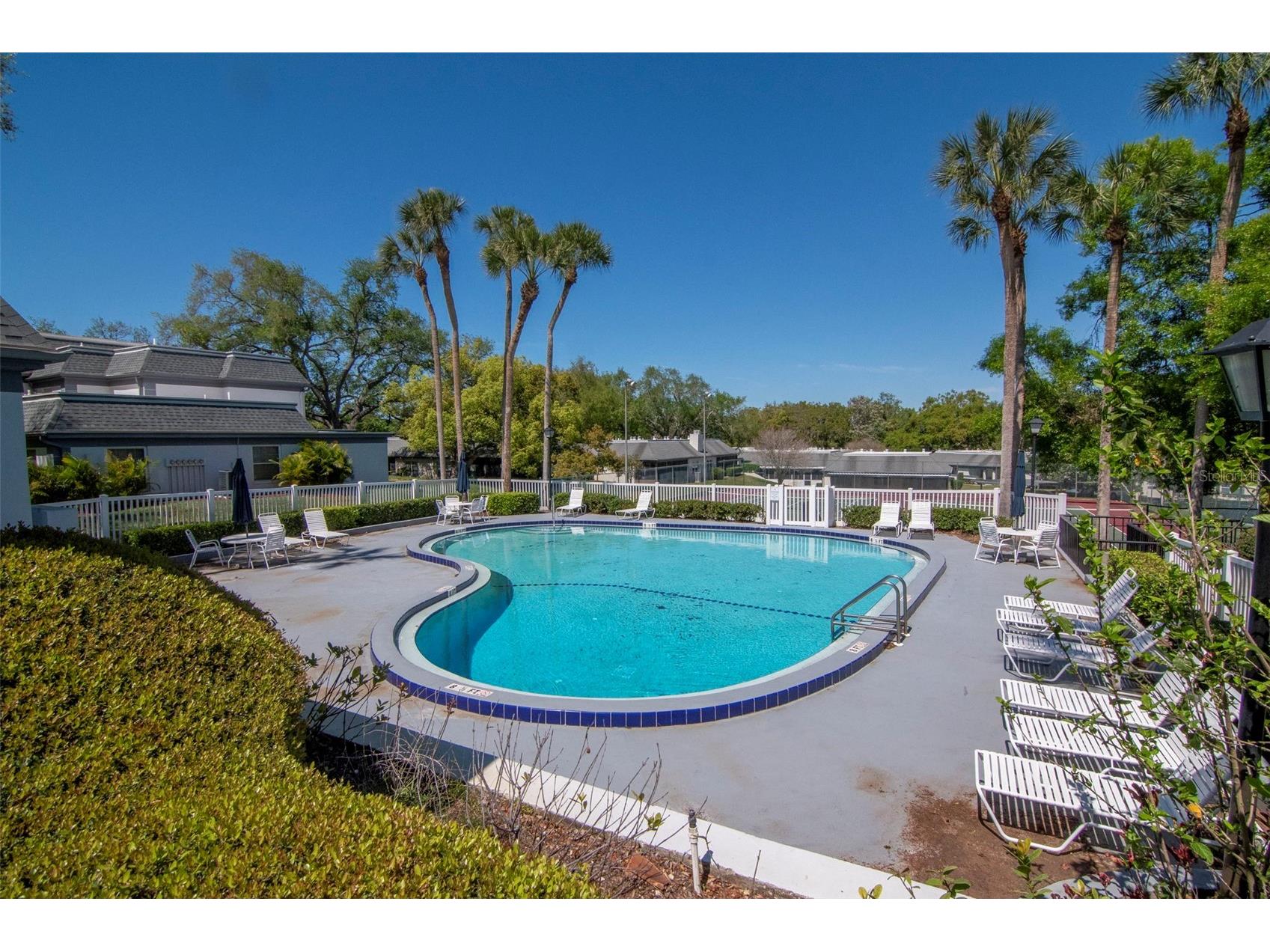 1227 N Mcmullen Booth Road #1227 Clearwater FL 33759 TB8488394 image44