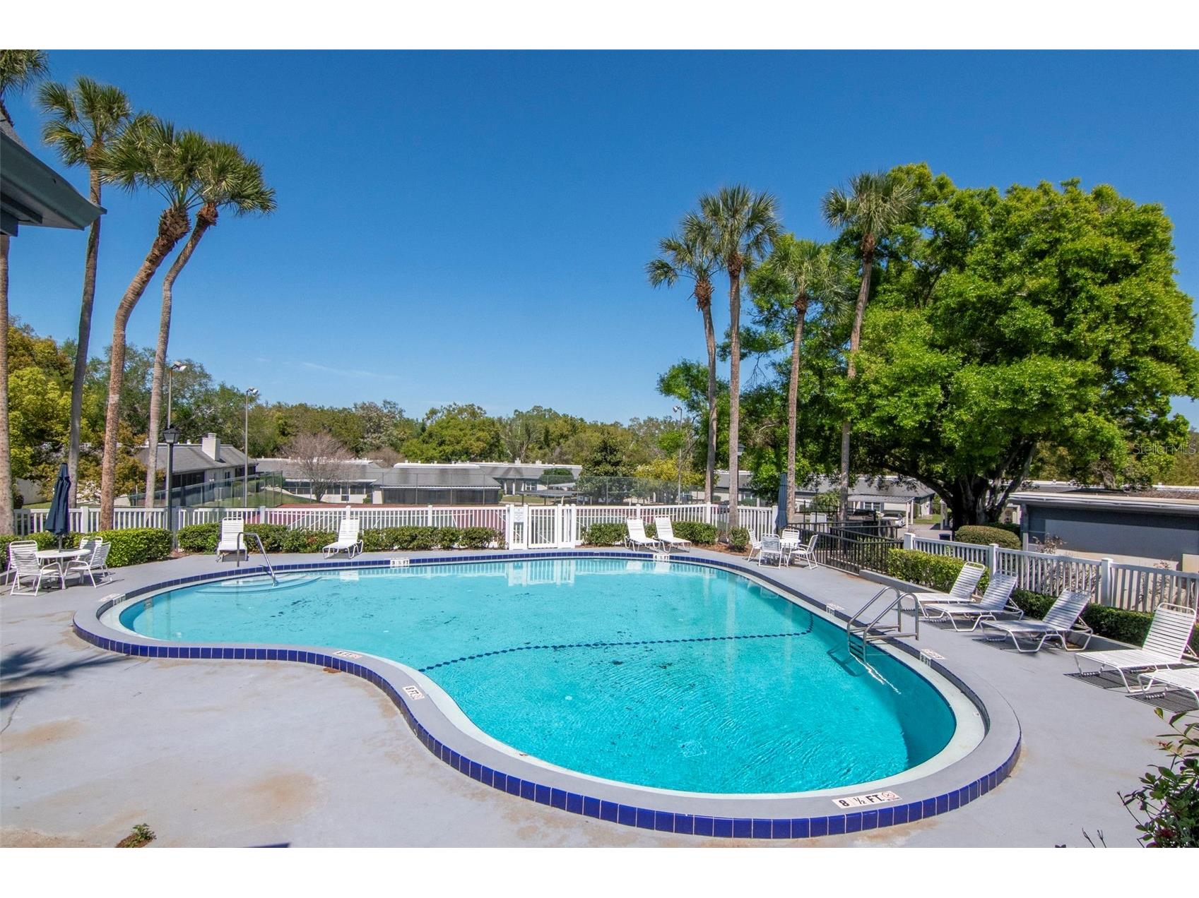 1227 N Mcmullen Booth Road #1227 Clearwater FL 33759 TB8488394 image46
