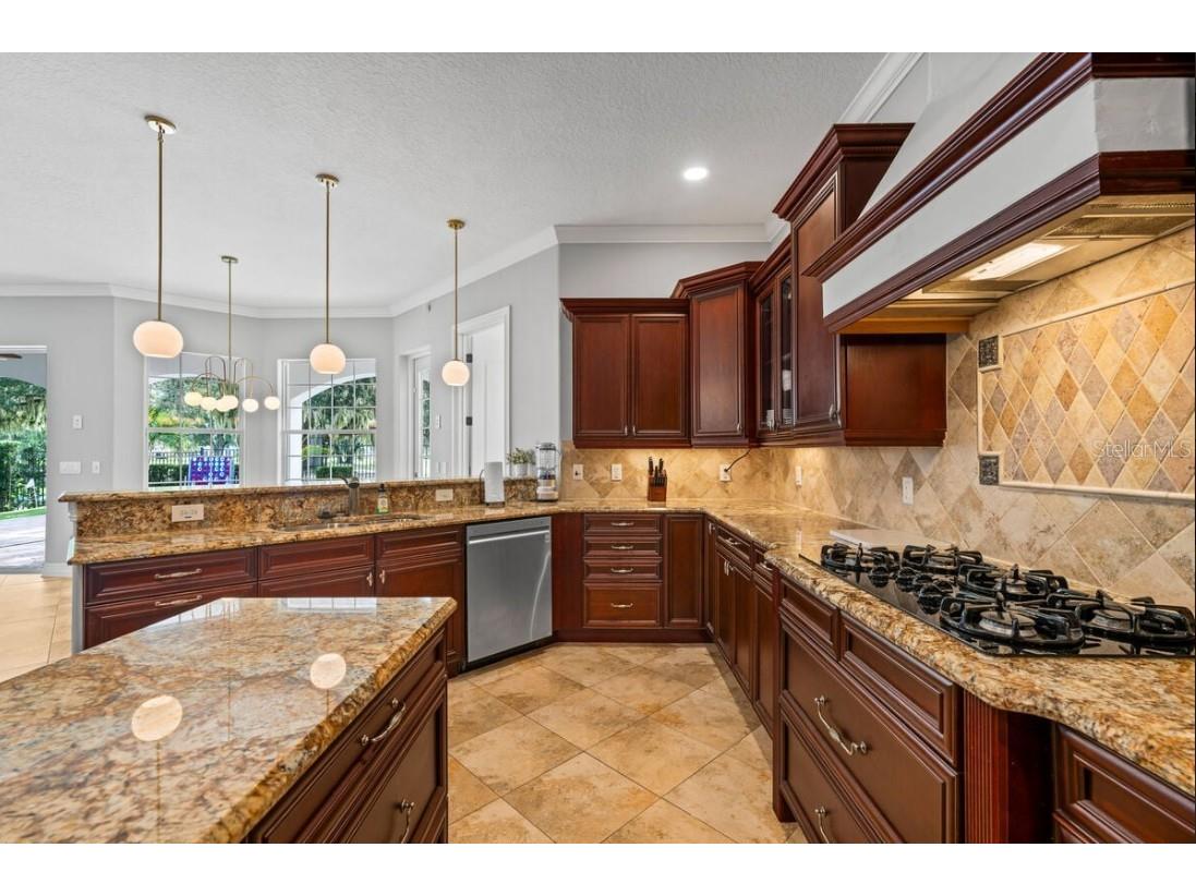 1227 Radiant Street Reunion FL 34747 O6358673 image72