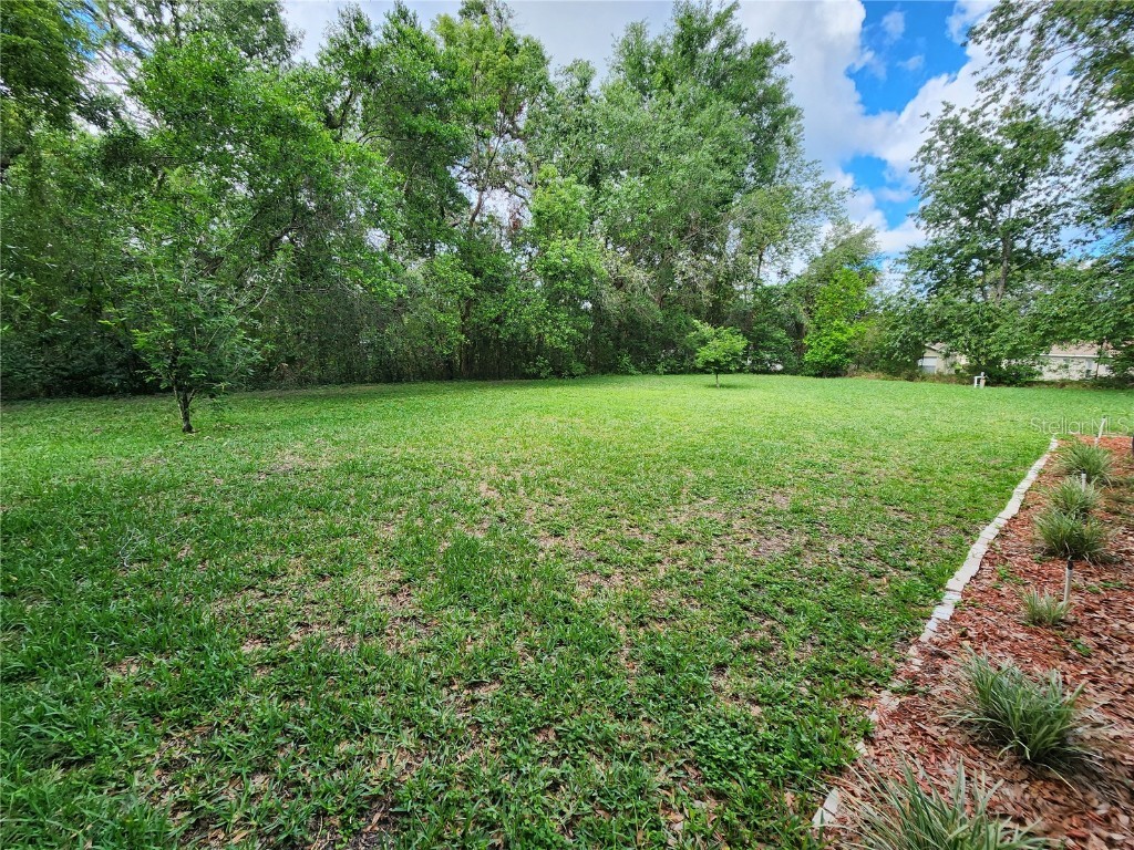 12270 Clarendon Court Spring Hill FL 34609 W7875380 image27