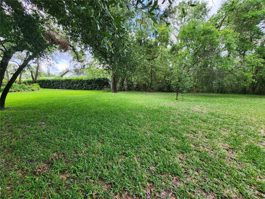 12270 Clarendon Court Spring Hill FL 34609 W7875380 image28