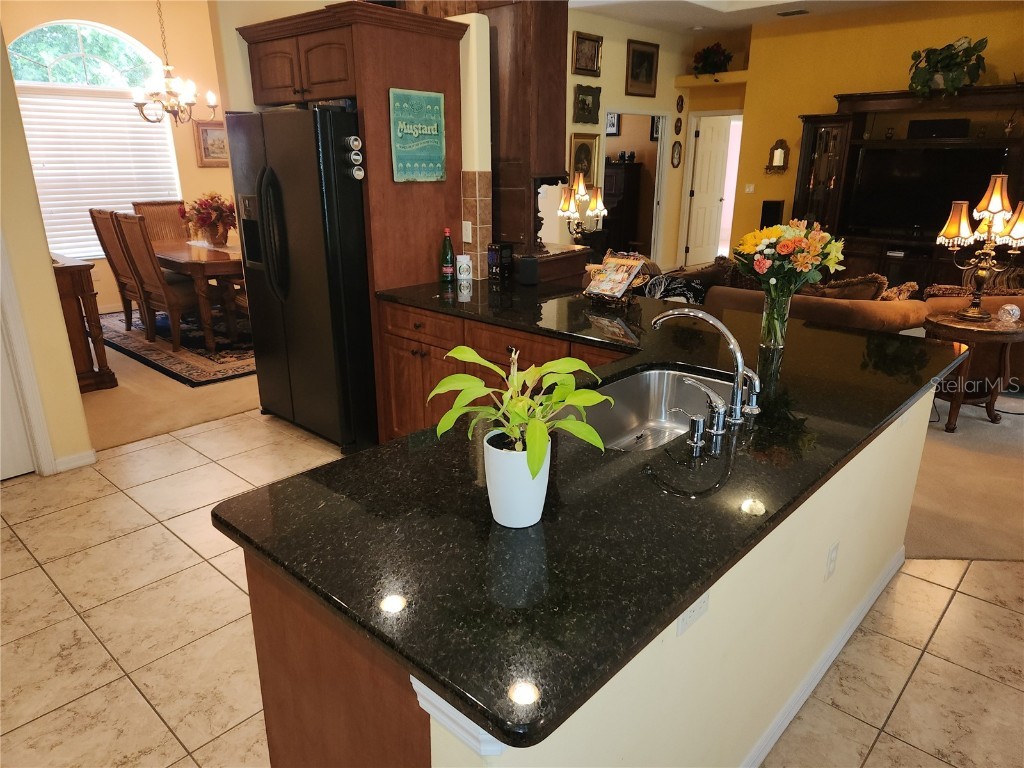 12270 Clarendon Court Spring Hill FL 34609 W7875380 image6