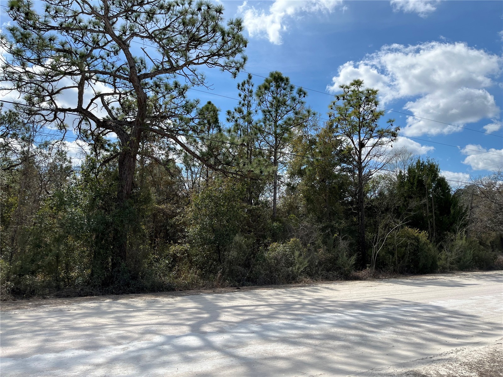 12270 Peaceful Avenue Weeki Wachee FL 34614 TB8477660 image1