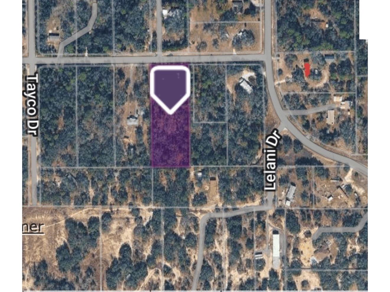 12270 Peaceful Avenue Weeki Wachee FL 34614 TB8477660 image6