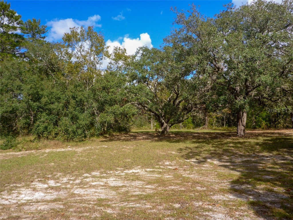 12271 Centralia Rd Weeki Wachee FL 34614 TB8388816 image33