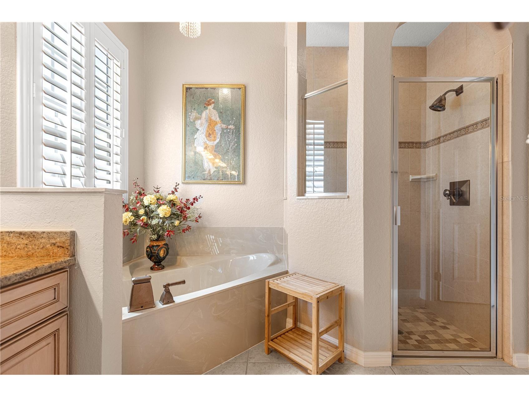 12271 SE 175th Lane Summerfield FL 34491 OM722835 image12