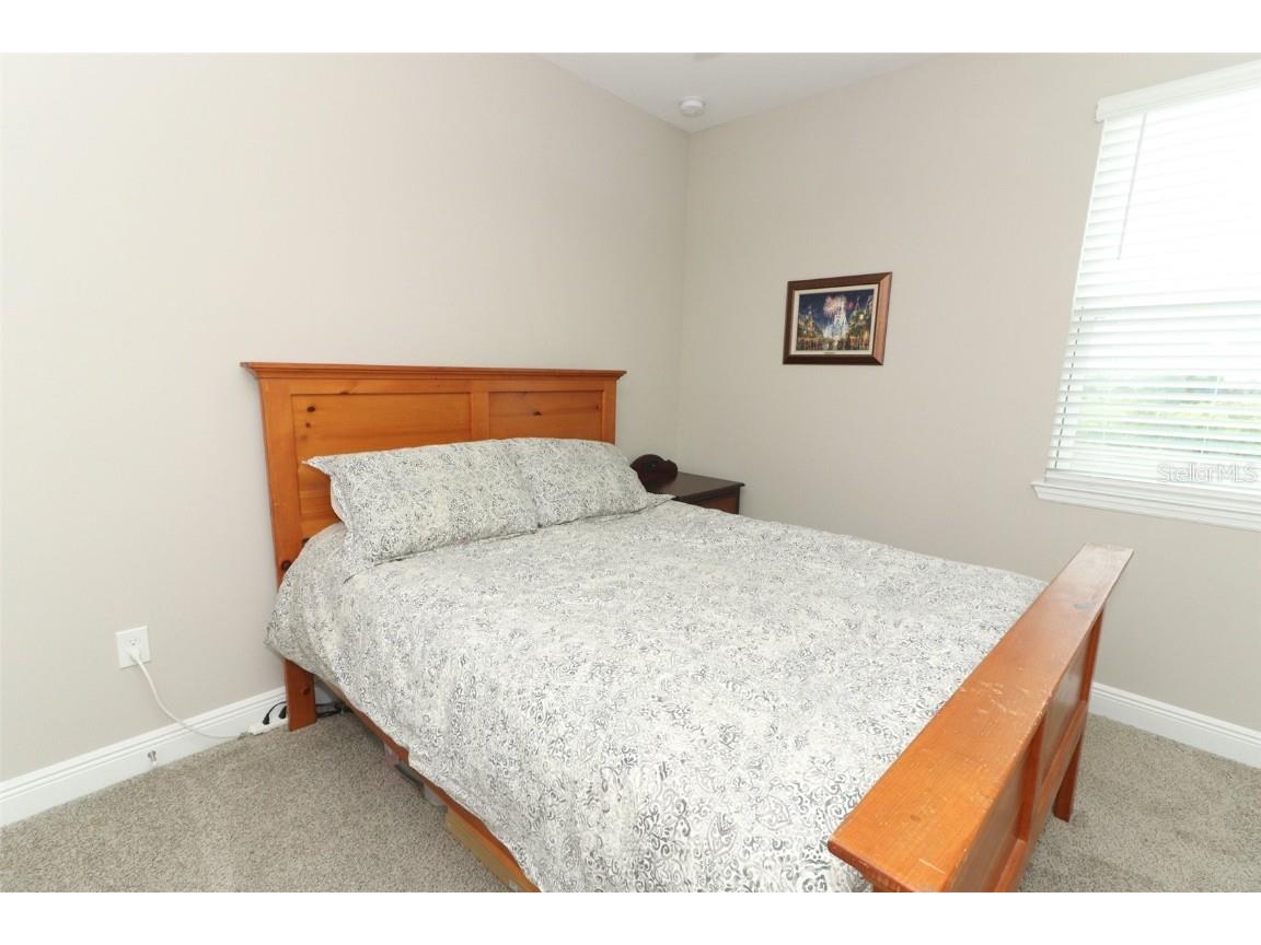 12272 Bracco Street Winter Garden FL 34787 O6304944 image28