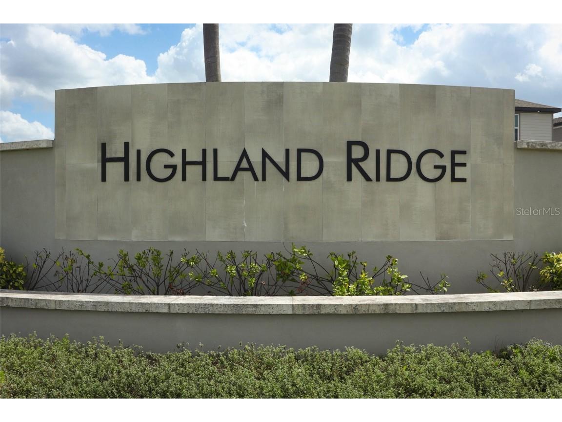 12272 Bracco Street Winter Garden FL 34787 O6304944 image40