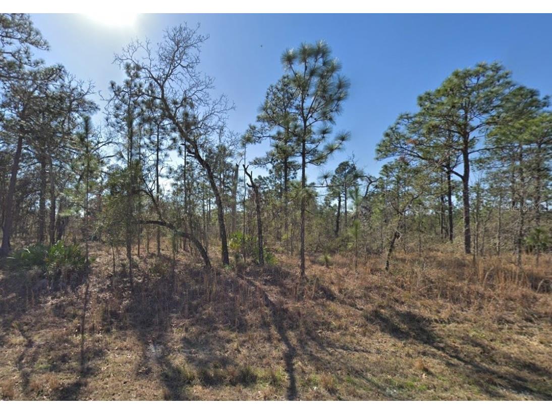 12272 Tinamou Avenue Weeki Wachee FL 34614 U8230379 image1