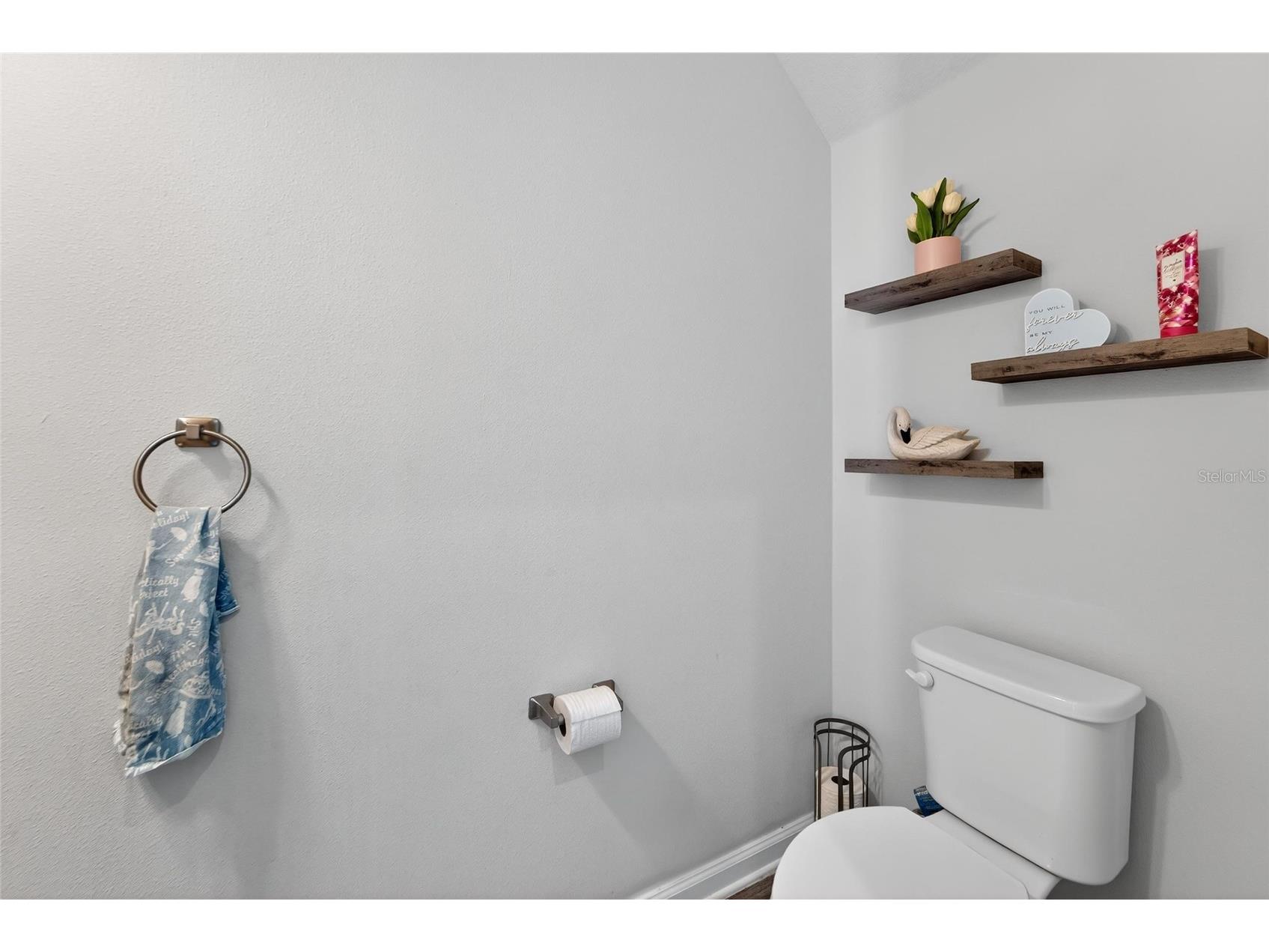 12273 Blue Pacific Drive Riverview FL 33579 TB8479469 image10