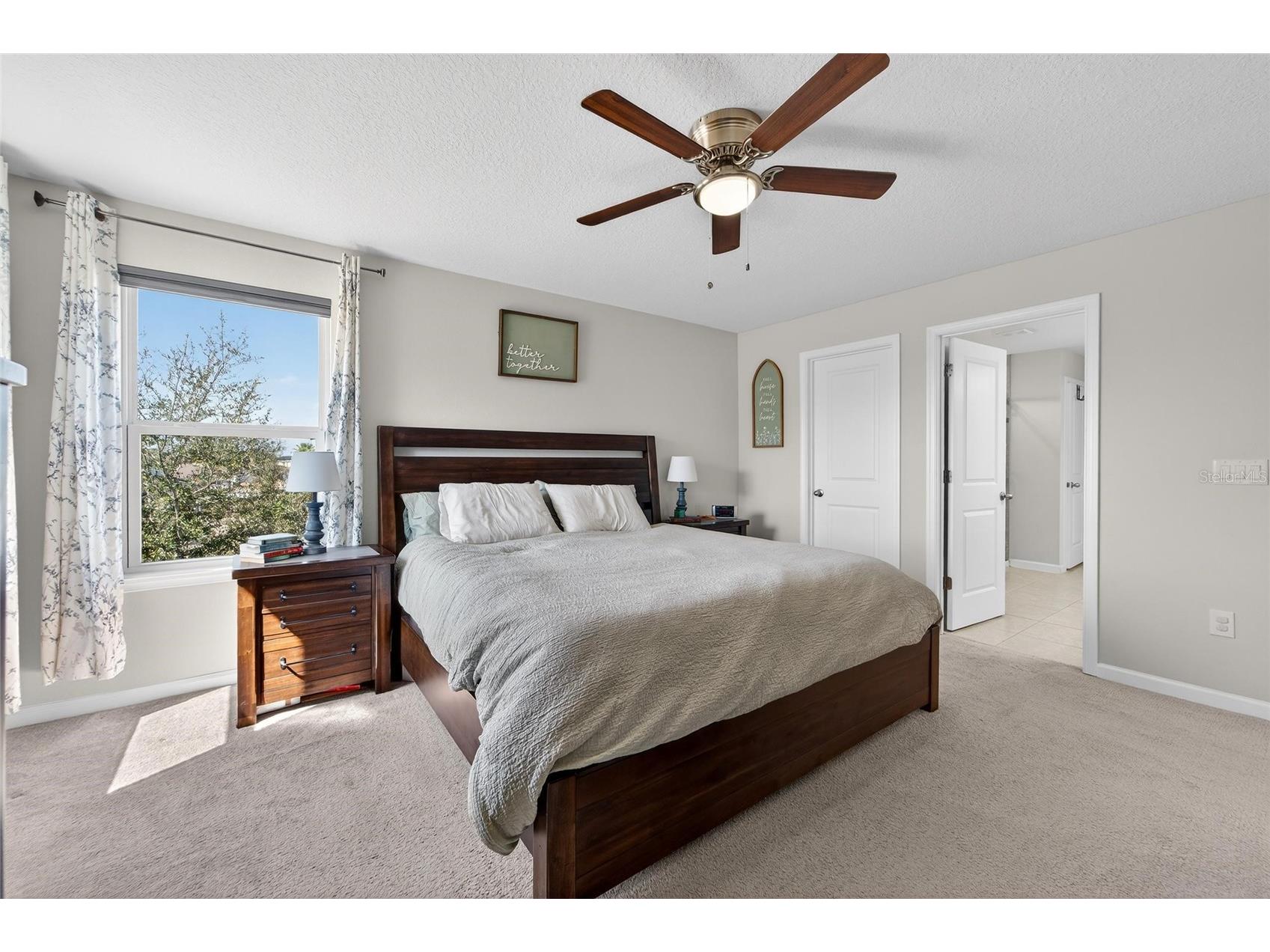 12273 Blue Pacific Drive Riverview FL 33579 TB8479469 image31