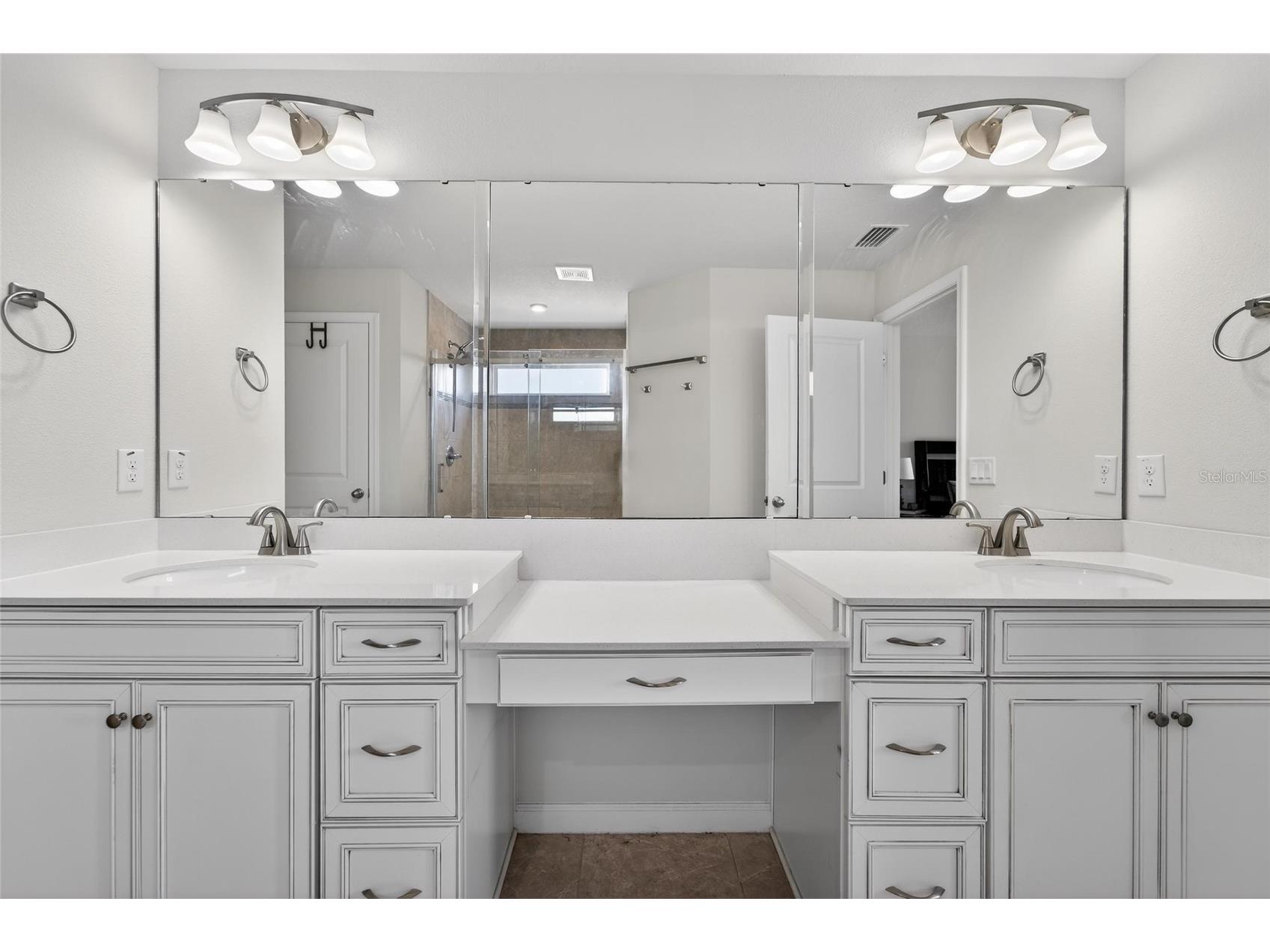 12273 Blue Pacific Drive Riverview FL 33579 TB8479469 image33