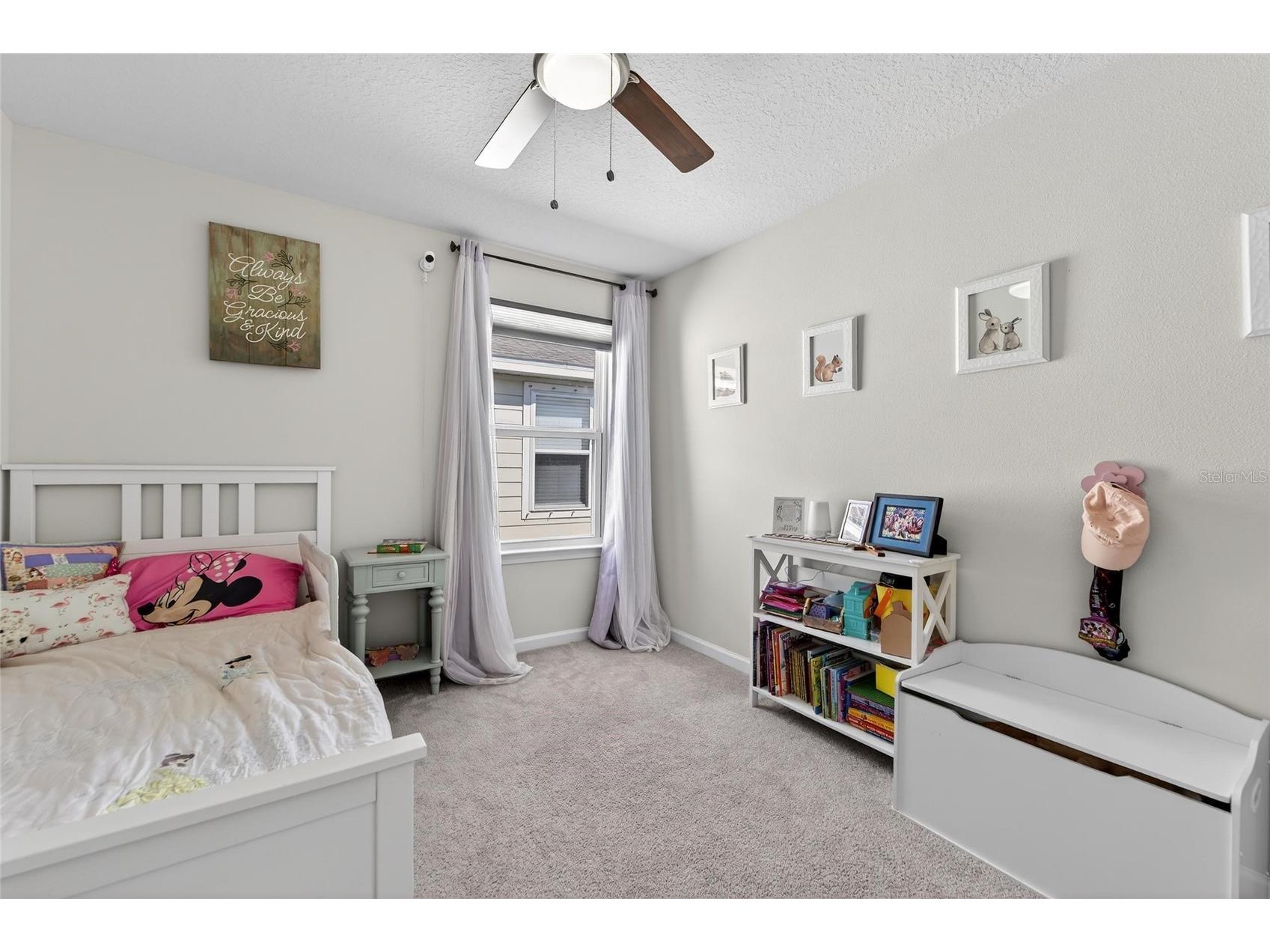 12273 Blue Pacific Drive Riverview FL 33579 TB8479469 image41