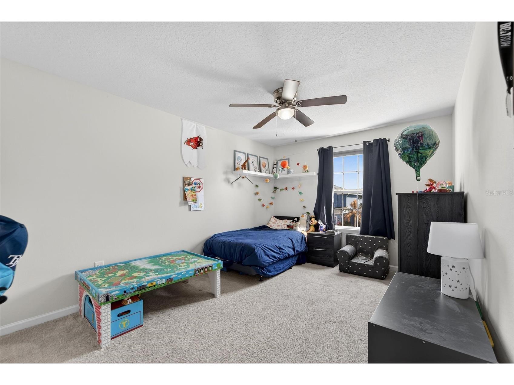 12273 Blue Pacific Drive Riverview FL 33579 TB8479469 image44