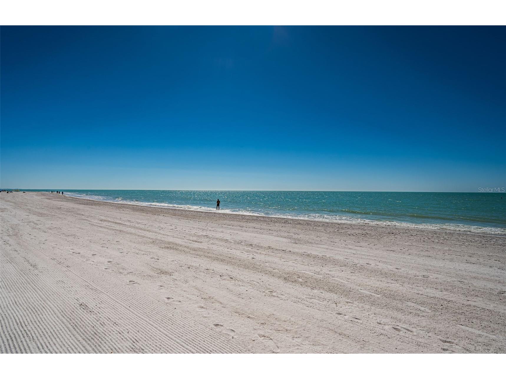 12274 1st Street W #8 Treasure Island FL 33706 - GULF TB8474216 image59