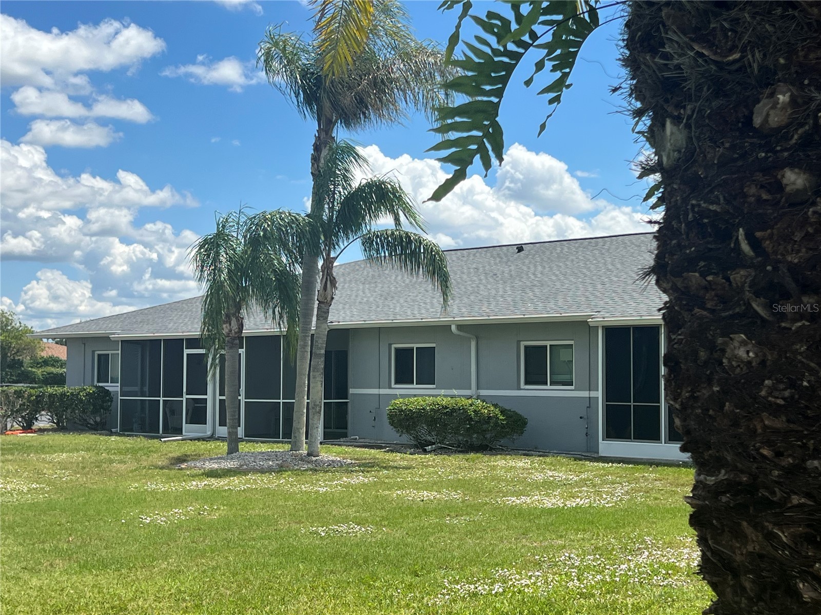 12274 SW Egret Circle #3703 Lake Suzy FL 34269 A4699630 image38