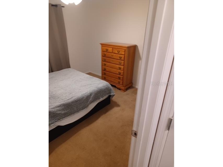 12274 SW Egret Circle #3703 Lake Suzy FL 34269 C7506885 image18