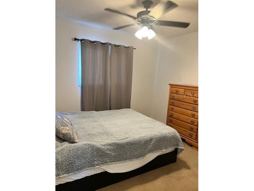 12274 SW Egret Circle #3703 Lake Suzy FL 34269 C7506885 image21