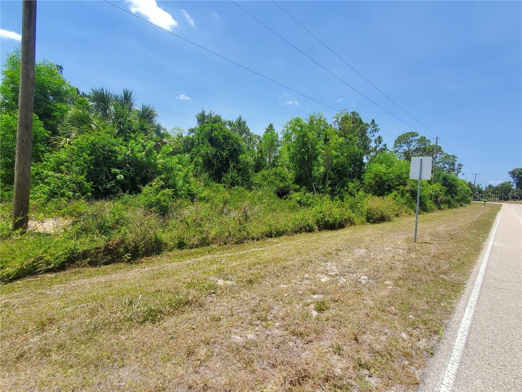 12275 Graffiti Drive Punta Gorda FL 33955 C7479484 image1