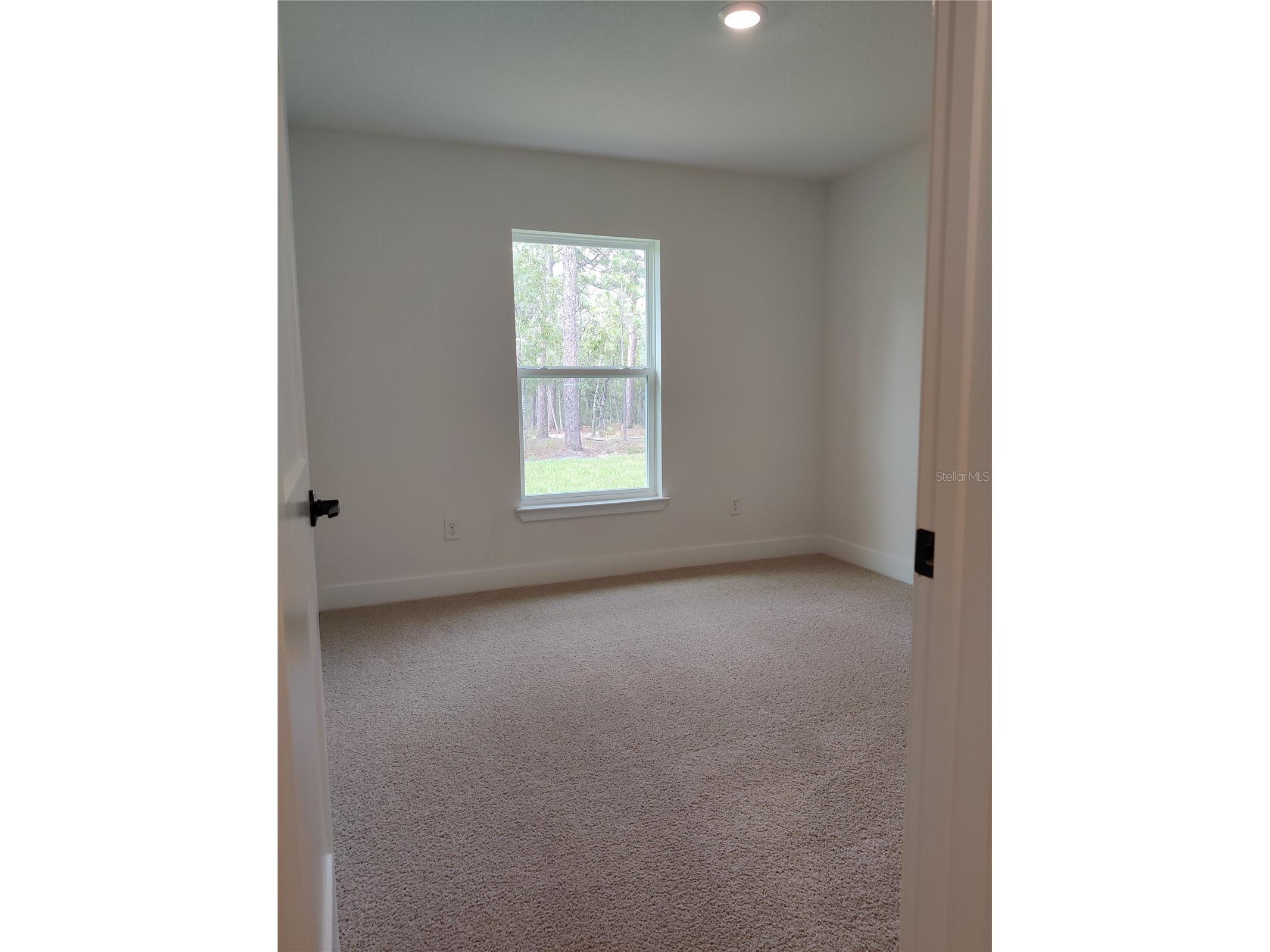 12275 Scarlet Ibis Avenue Weeki Wachee FL 34614 OM716581 image10
