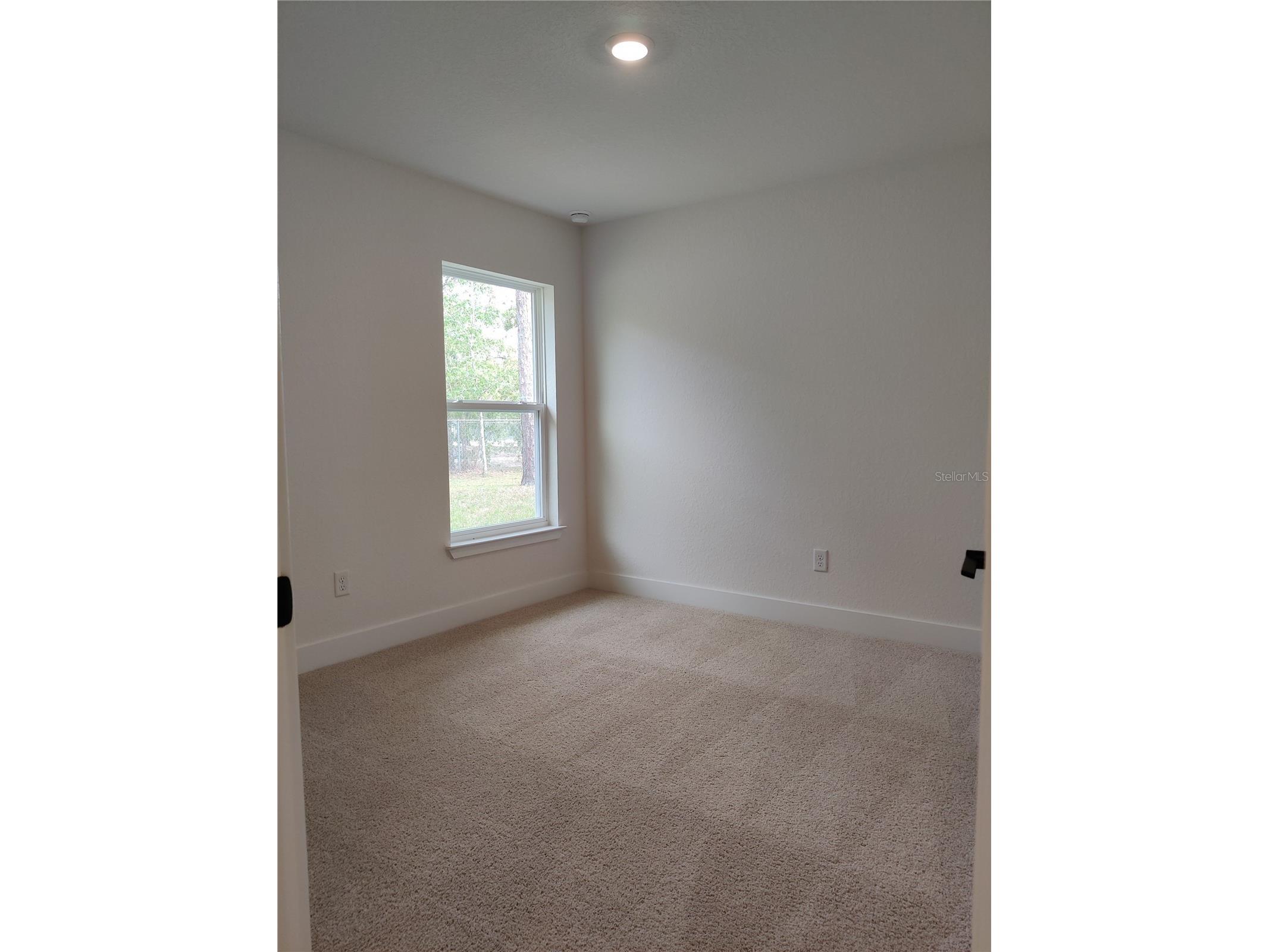 12275 Scarlet Ibis Avenue Weeki Wachee FL 34614 OM716581 image11