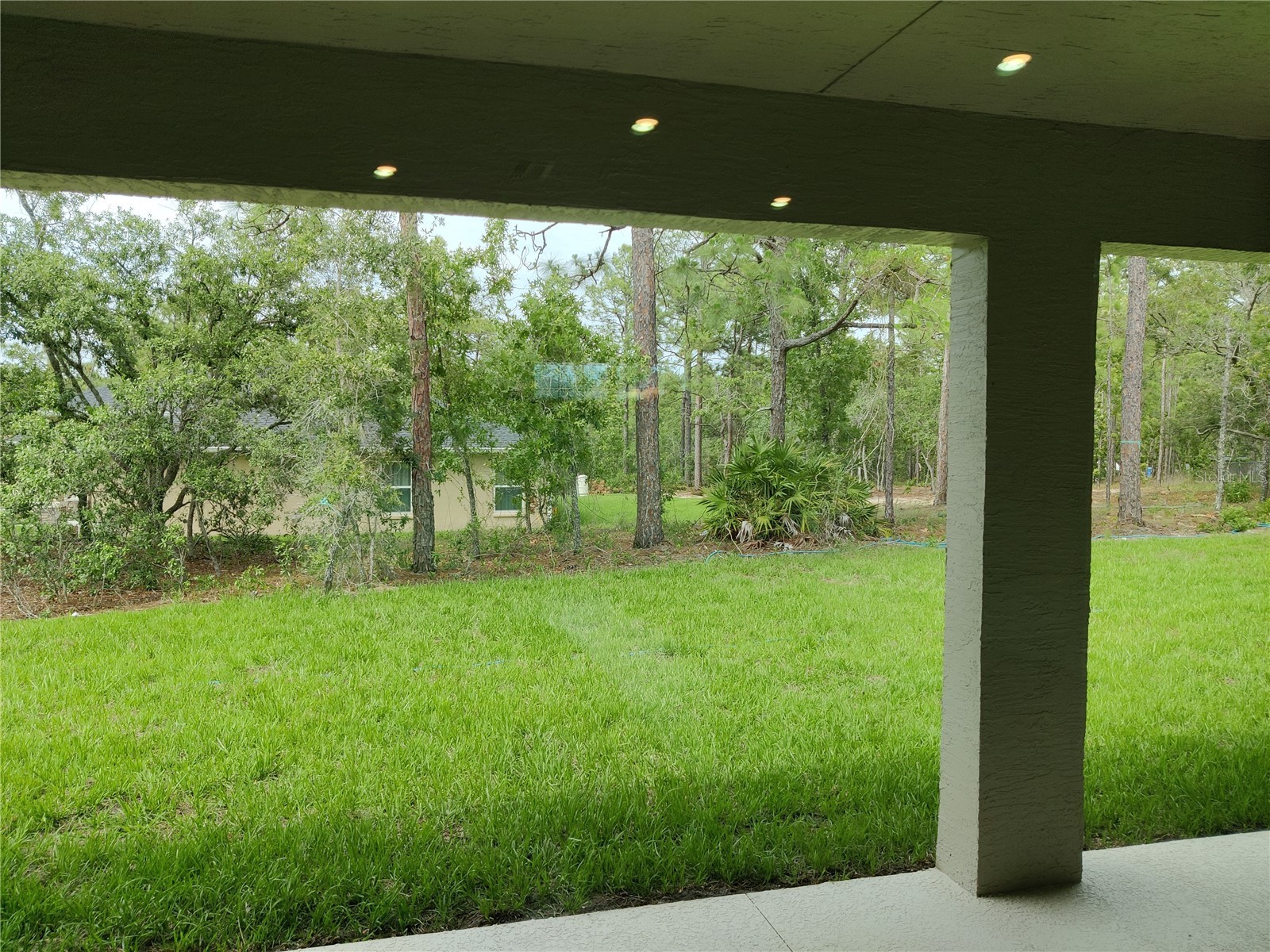 12275 Scarlet Ibis Avenue Weeki Wachee FL 34614 OM716581 image19