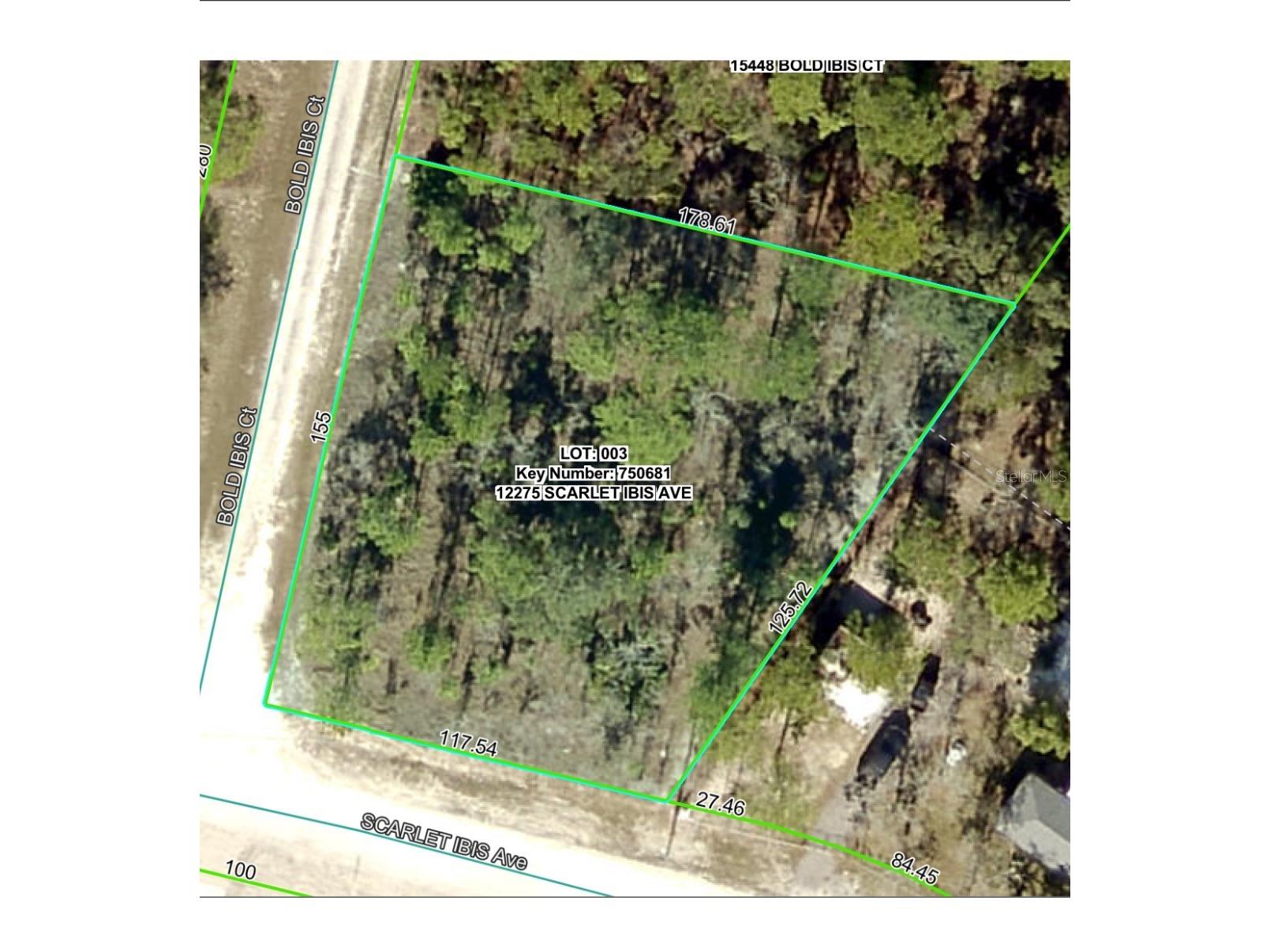 12275 Scarlet Ibis Avenue Weeki Wachee FL 34614 OM716581 image21