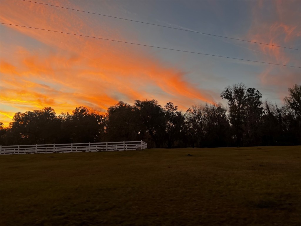 12275 W Highway 318 Reddick FL 32686 GC519408 image87