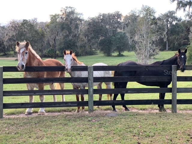 12275 W Highway 318 Reddick FL 32686 GC519408 image96