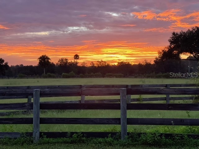 12275 W Highway 318 Reddick FL 32686 GC519408 image97