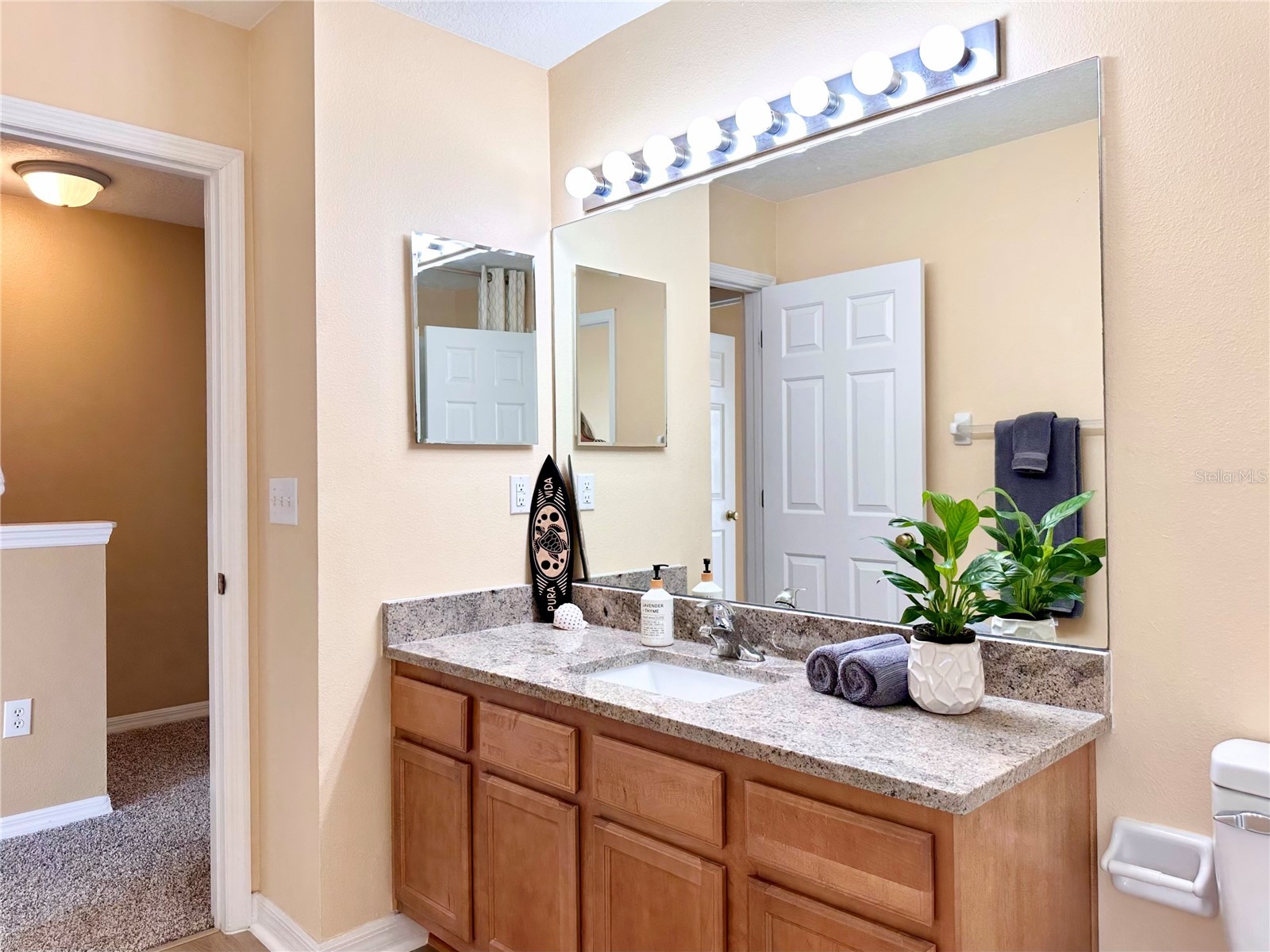12276 Country White Circle Tampa FL 33635 TB8508303 image22