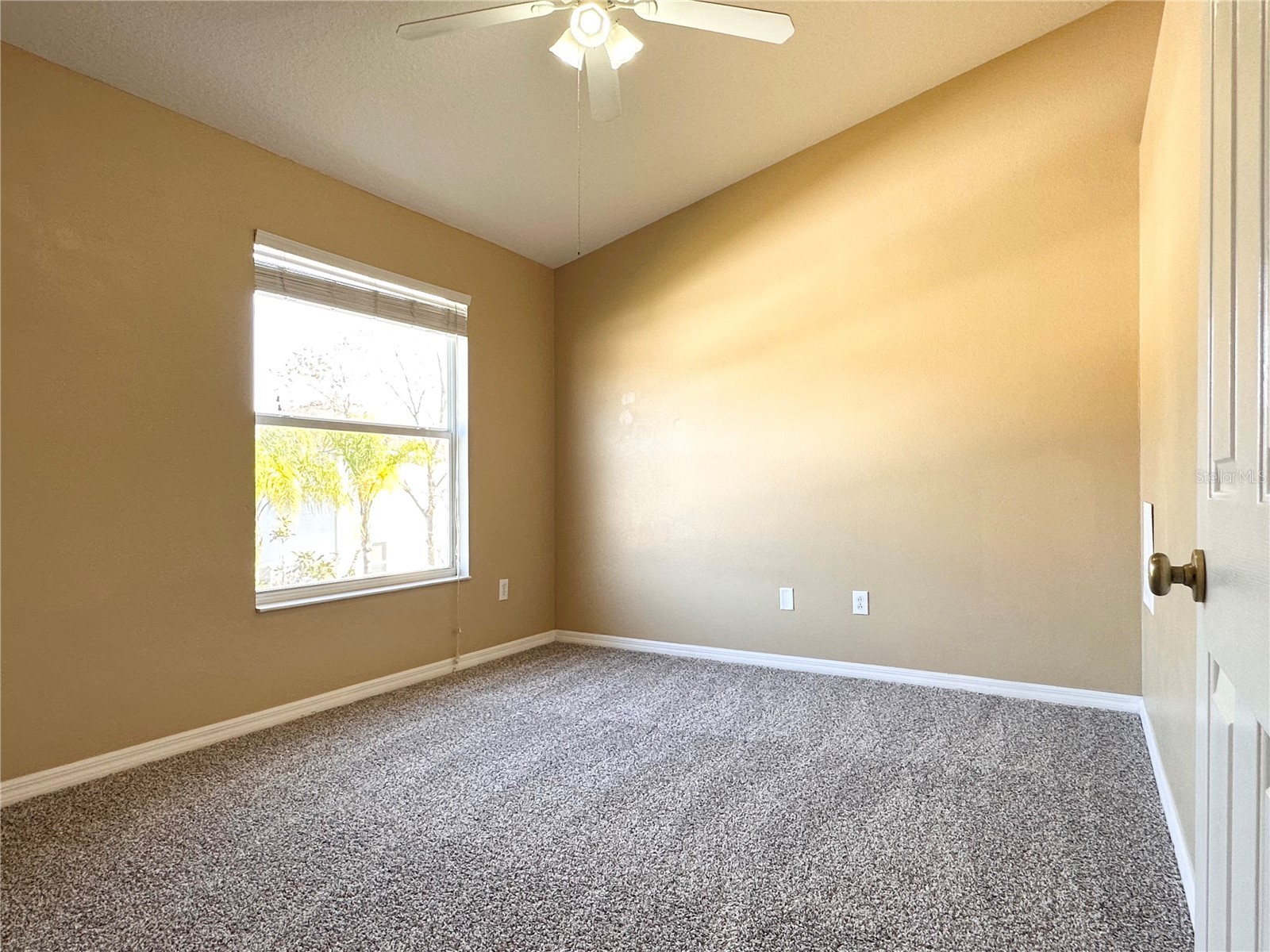 12276 Country White Circle Tampa FL 33635 TB8508303 image25