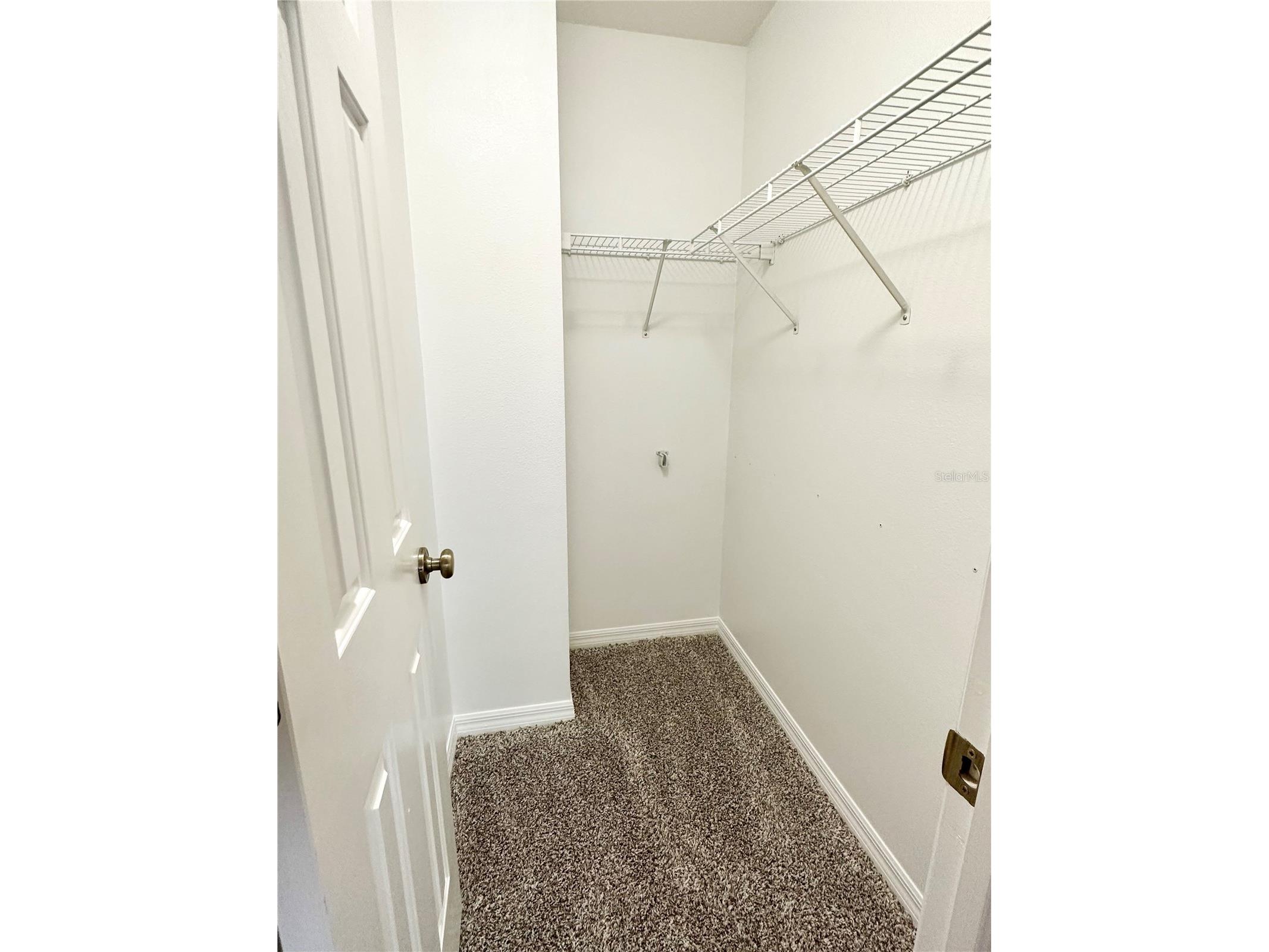 12276 Country White Circle Tampa FL 33635 TB8508303 image26