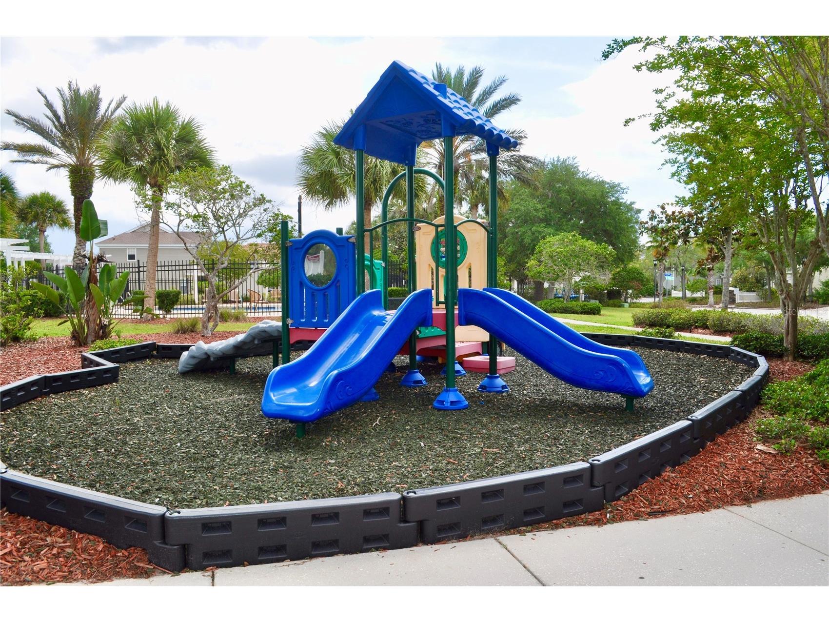 12276 Country White Circle Tampa FL 33635 TB8508303 image34