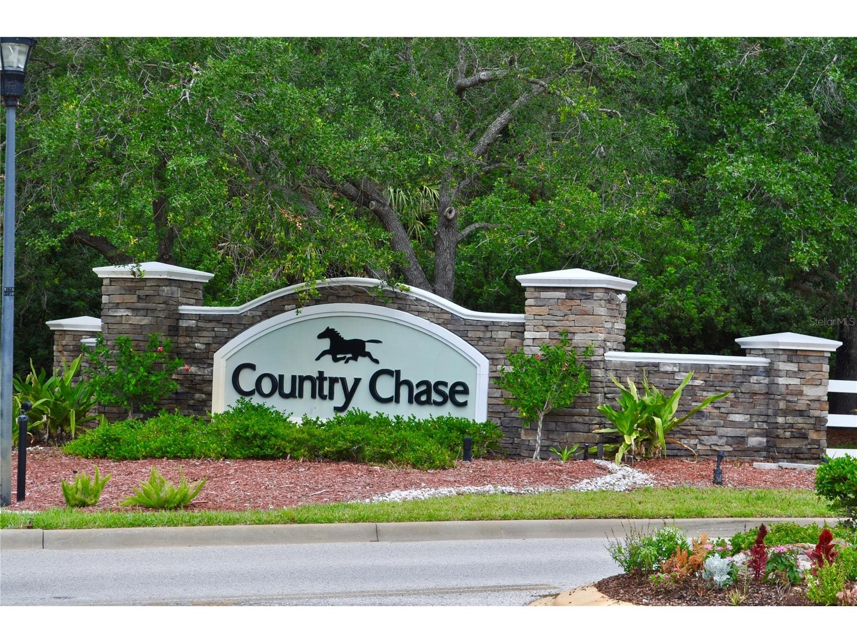 12276 Country White Circle Tampa FL 33635 TB8508303 image36