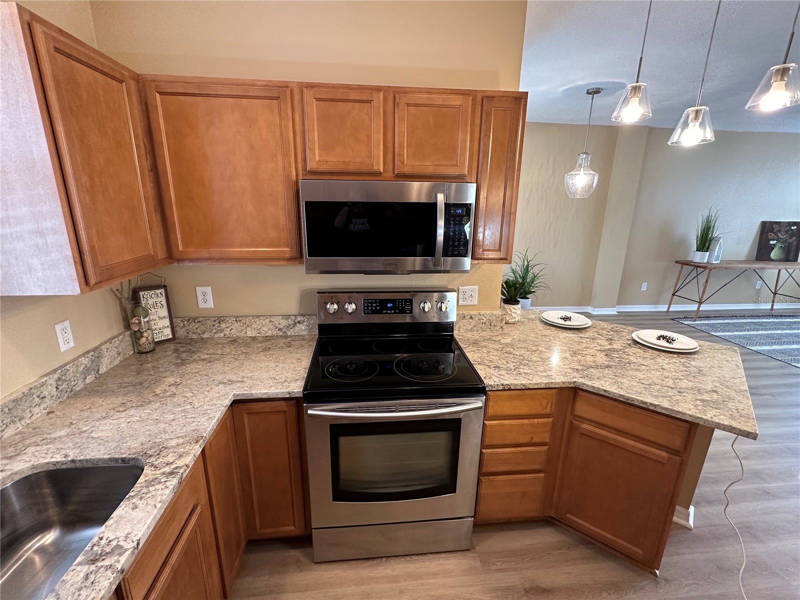 12276 Country White Circle Tampa FL 33635 TB8508303 image6