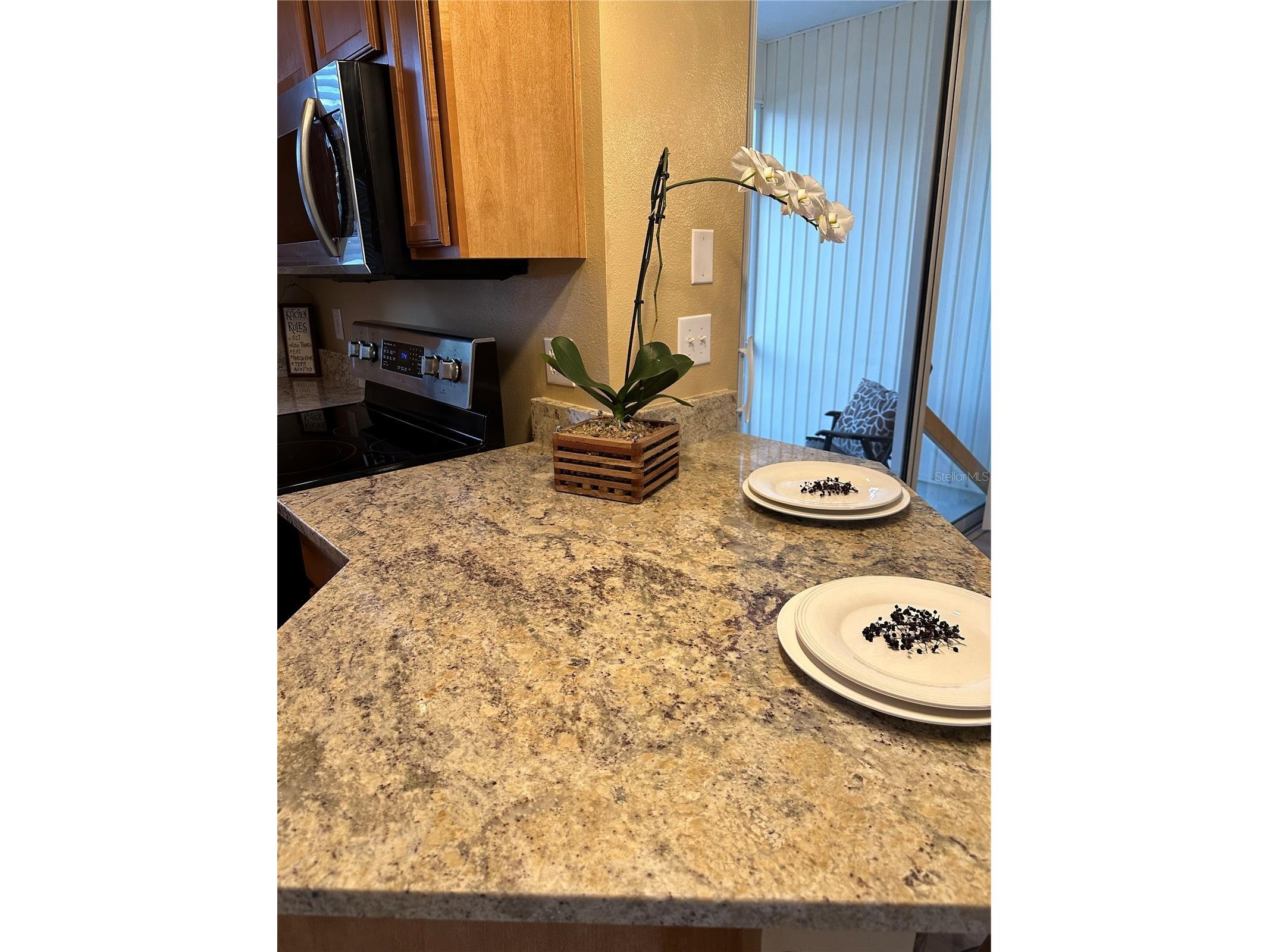 12276 Country White Circle Tampa FL 33635 TB8508303 image8