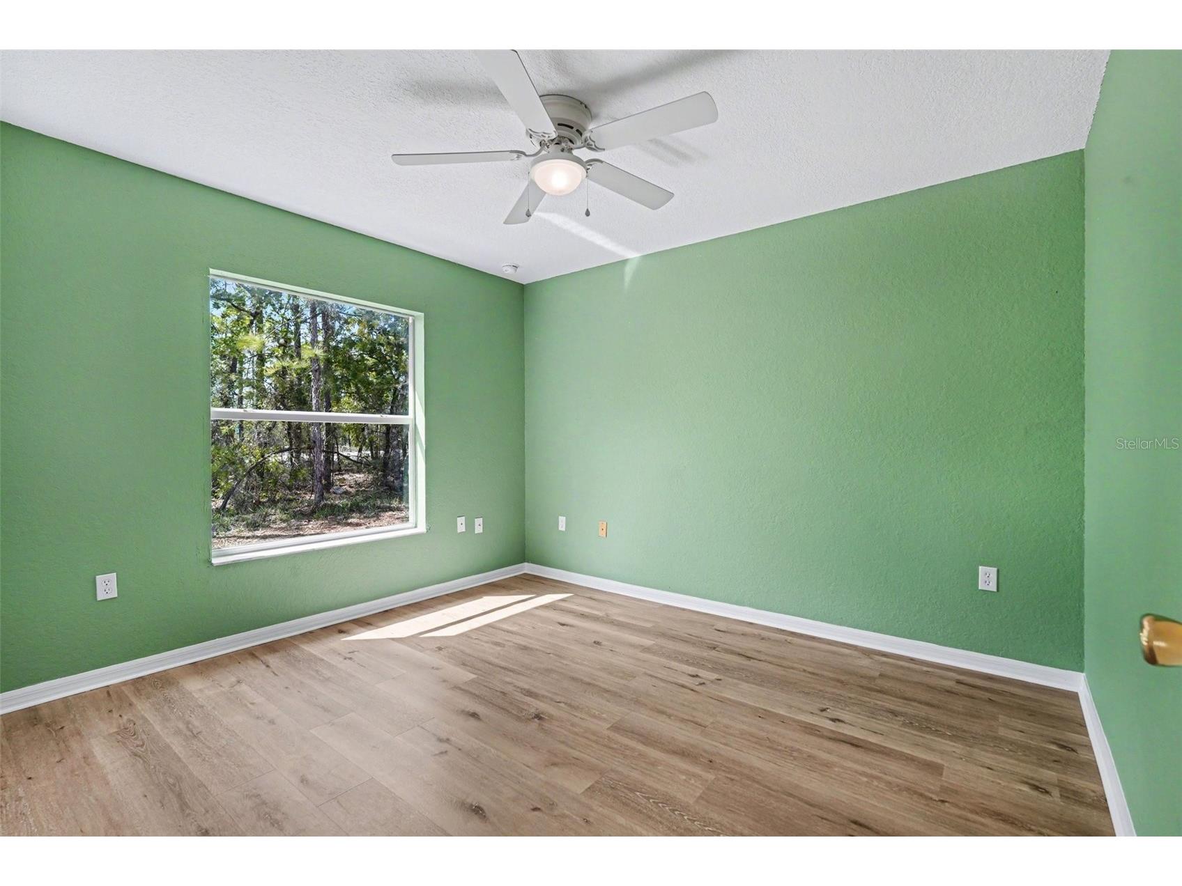 12276 Snow Goose Avenue Brooksville FL 34614 TB8493017 image19