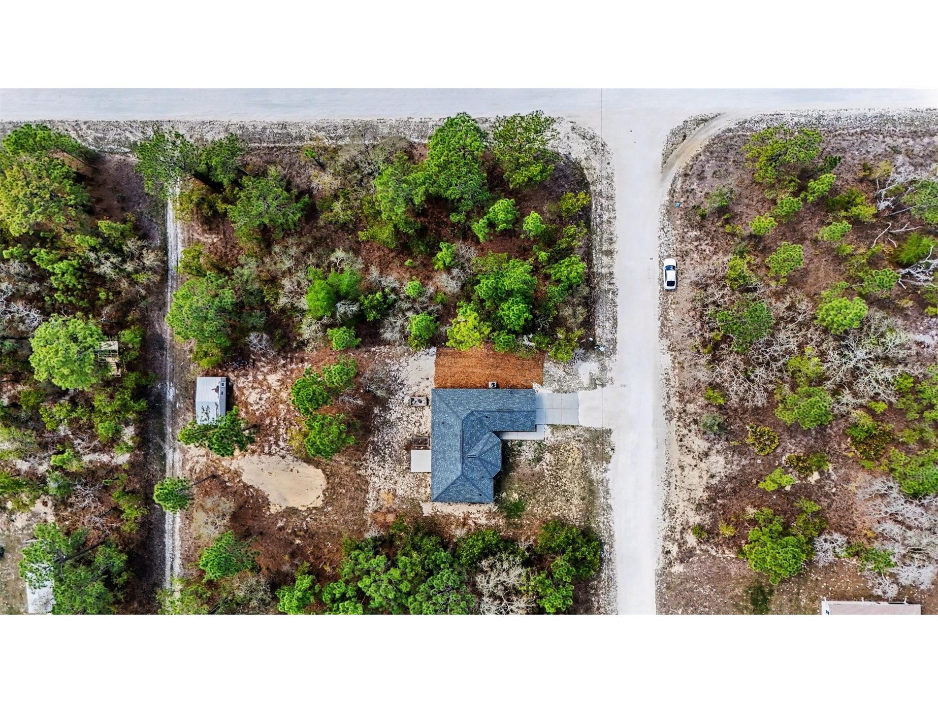 12276 Snow Goose Avenue Brooksville FL 34614 TB8493017 image35