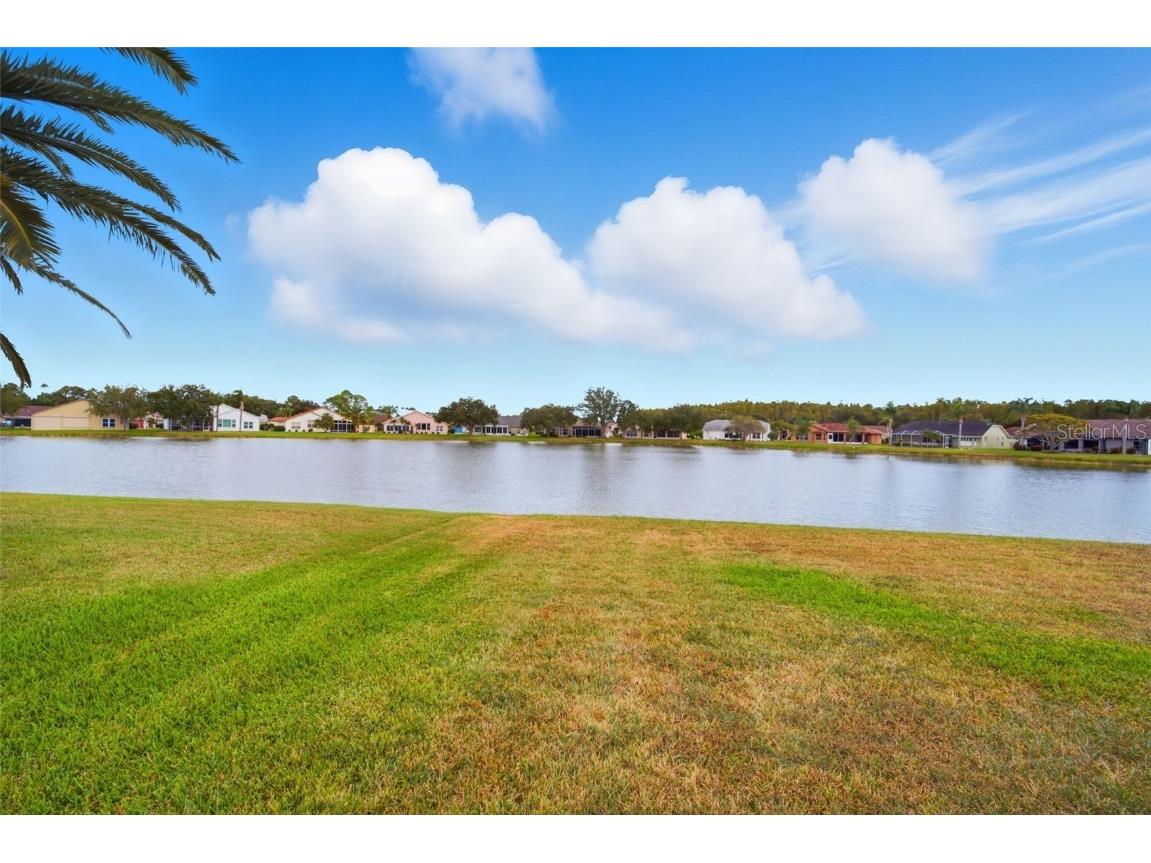 1228 Ashbourne Circle Trinity FL 34655 W7877607 image40