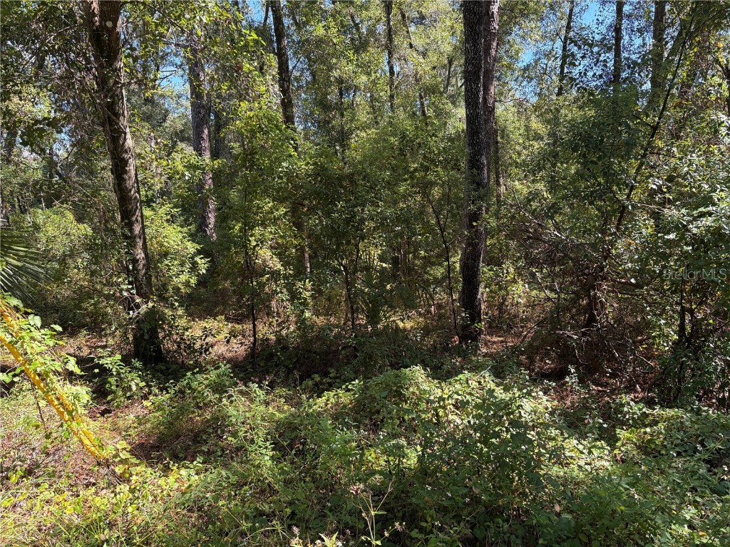 1228 Clover Terrace Inverness FL 34452 FC313423 image1