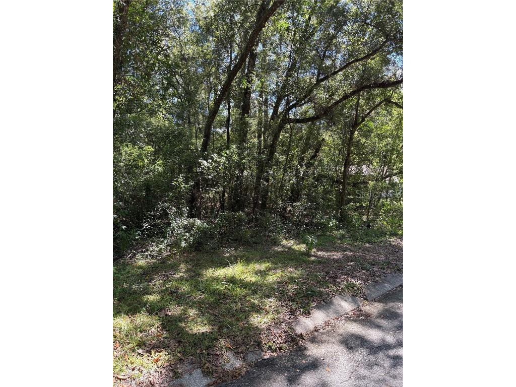 1228 Clover Terrace Inverness FL 34452 FC313423 image3