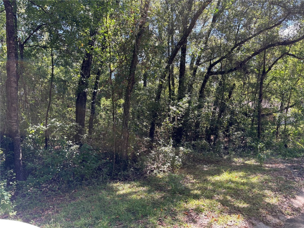 1228 Clover Terrace Inverness FL 34452 FC313423 image4
