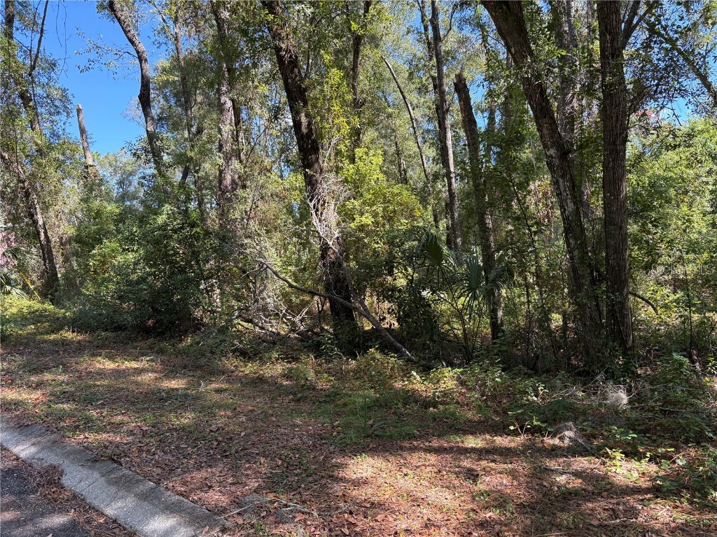 1228 Clover Terrace Inverness FL 34452 FC313423 image6