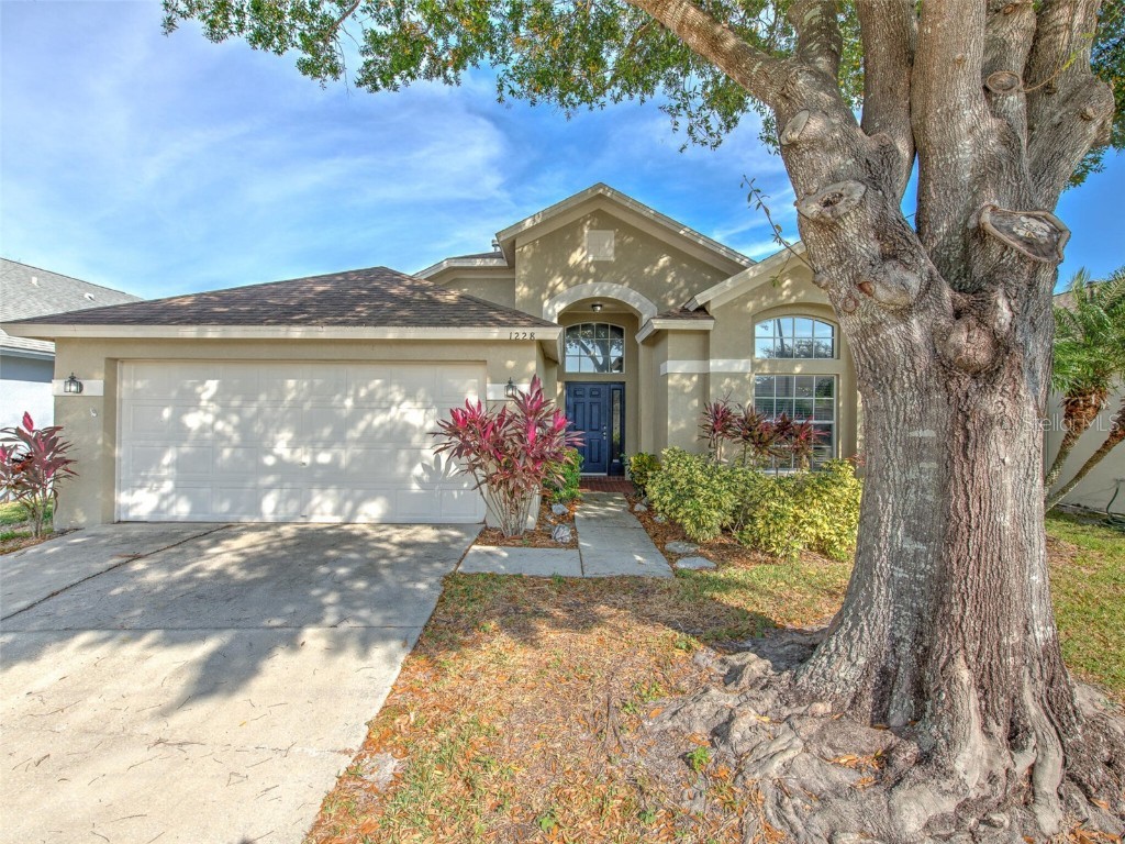 1228 Crimson Clover Lane Wesley Chapel FL 33543 T3490813 image1