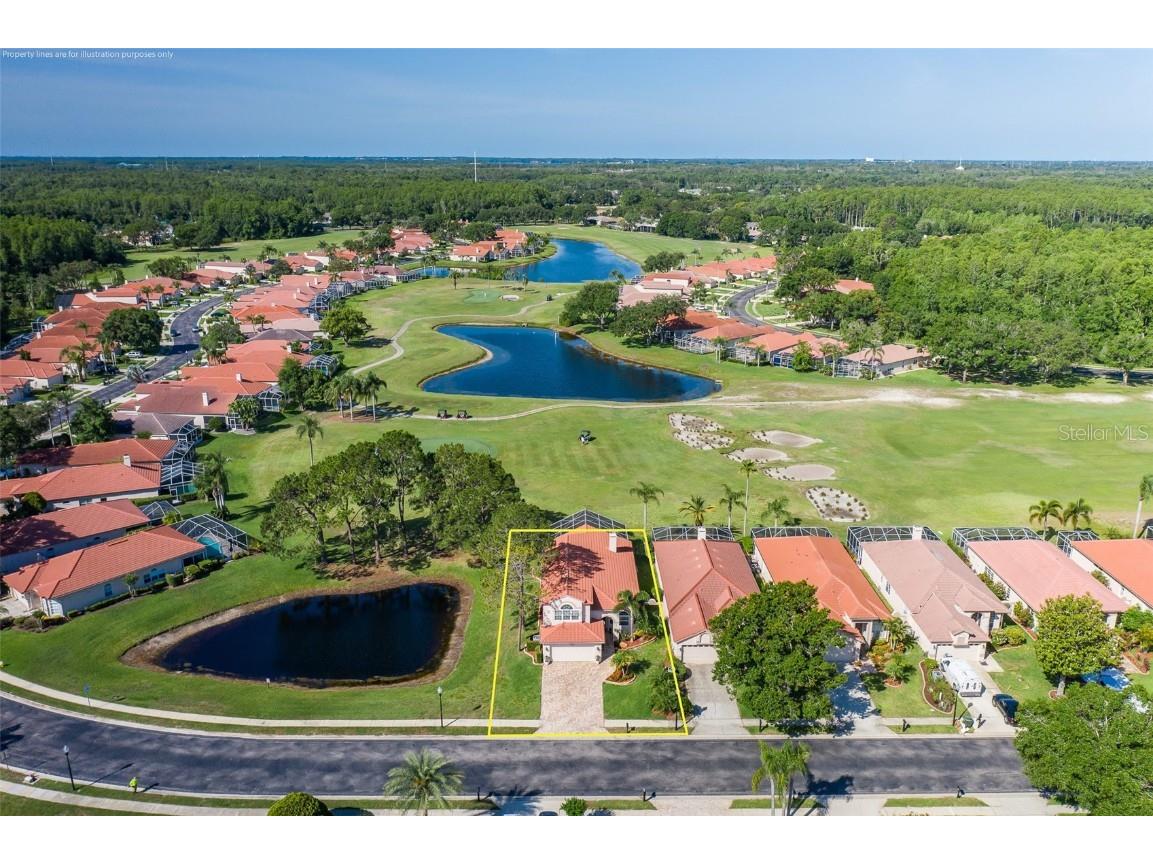 1228 Dartford Drive Tarpon Springs FL 34688 TB8385261 image1