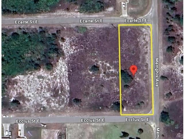 1228 Ecarte Street E Lehigh Acres FL 33974 A4600424 image1